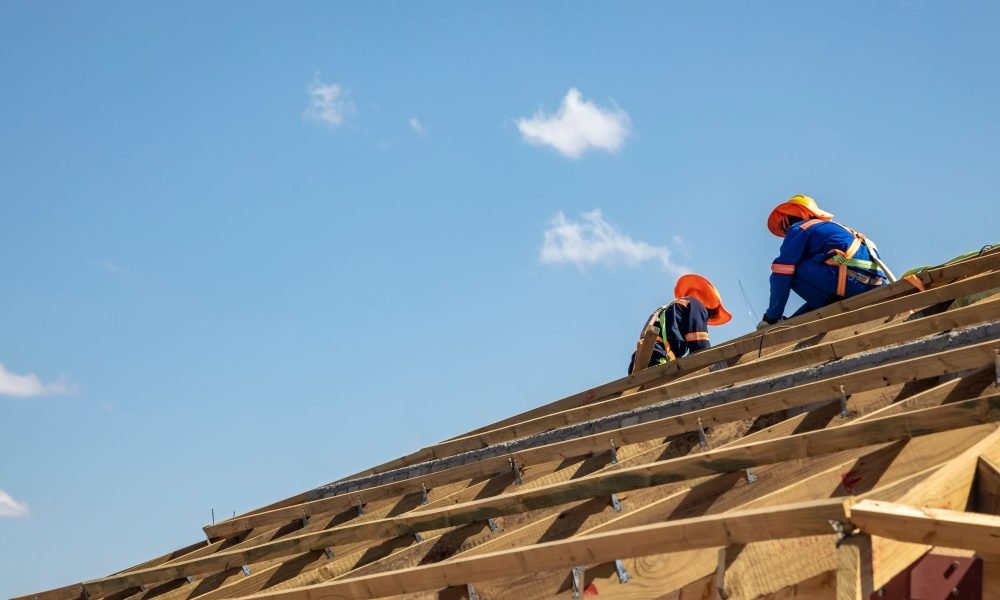 Untitled design (15)